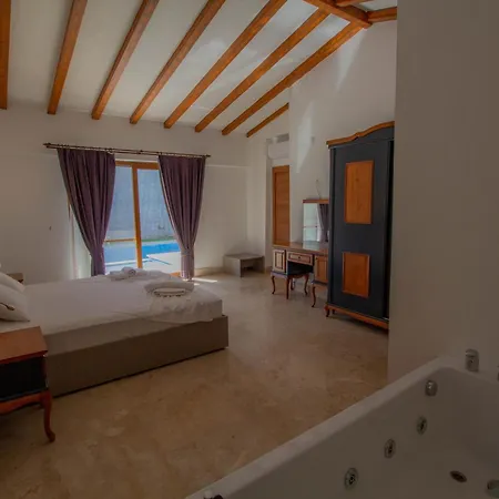 빌라 Patara Infinity 3+1 Villa, Oezel Havuzlu, *