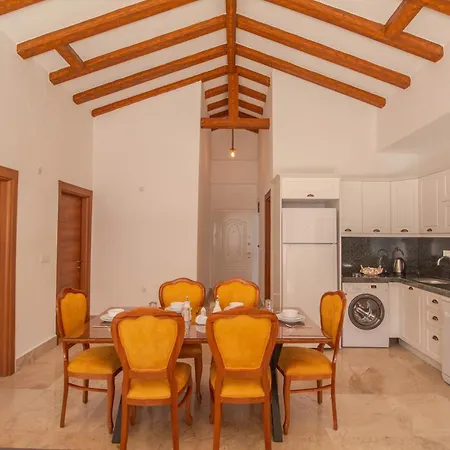 Patara Infinity 3+1 Villa, Oezel Havuzlu, Villa *