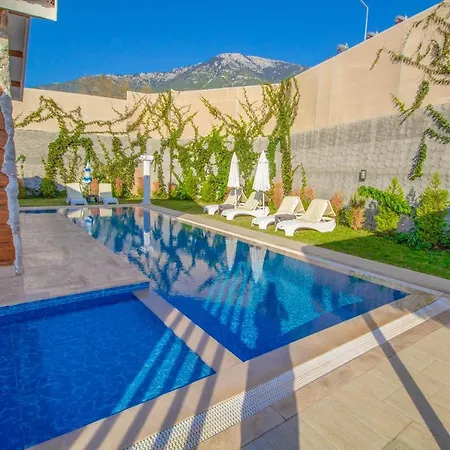 Patara Infinity 3+1 Villa, Oezel Havuzlu, ヴィラ フェティエ